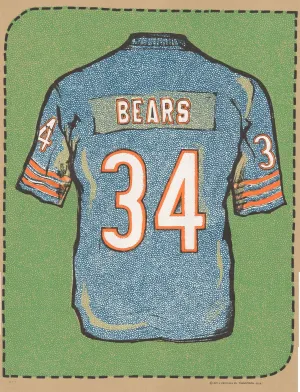 Chicago Bears AP Silkscreen Print by Fugscreens