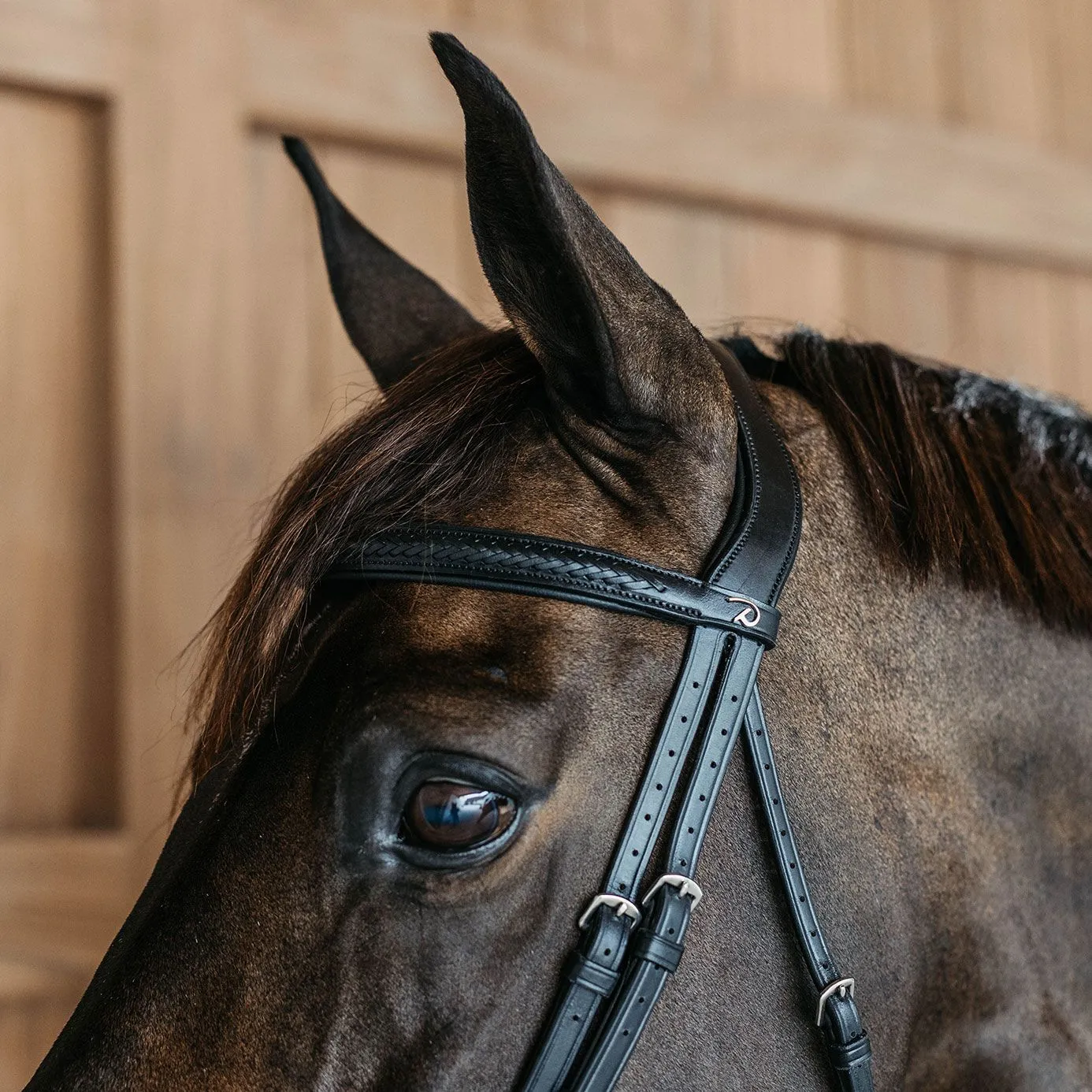 Dy'on New English Plaited Flash Bridle - Black