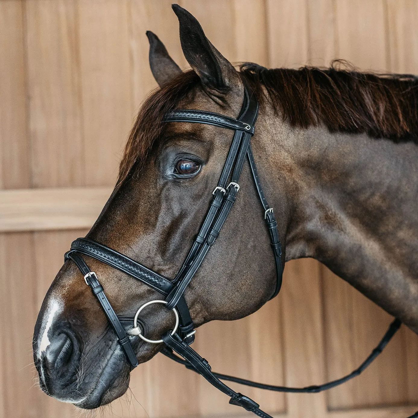 Dy'on New English Plaited Flash Bridle - Black