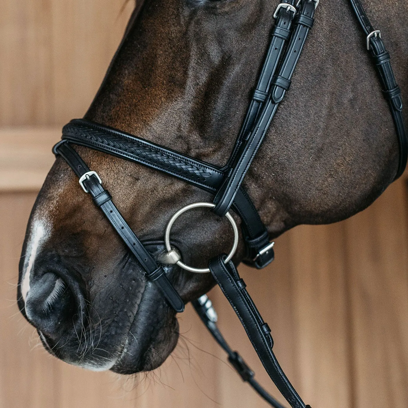 Dy'on New English Plaited Flash Bridle - Black